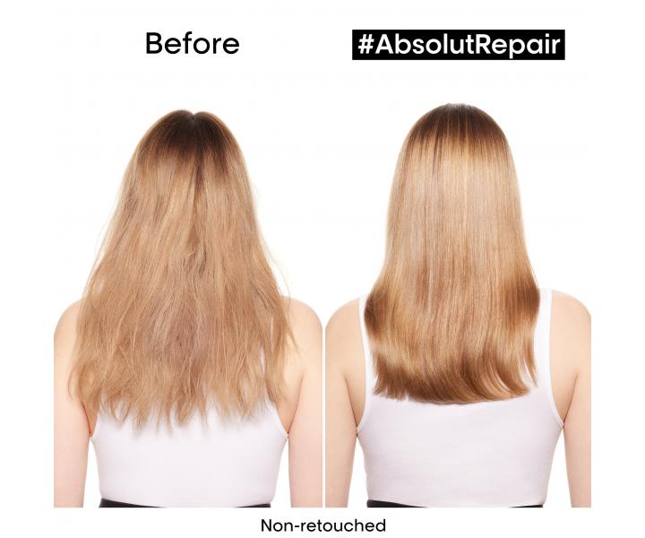 ampn pre such a pokoden vlasy Loral Professionnel Serie Expert Absolut Repair - 750 ml
