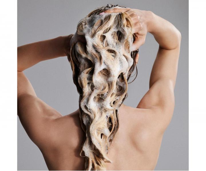 Rad pre oslniv� lesk v�etk�ch typov vlasov Neqi Diamond Glass