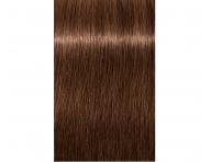 Farba na vlasy Schwarzkopf Professional Igora Royal 60 ml - 6-6 tmav blond okoldov