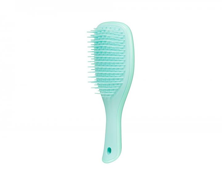 Cestovn kefa na rozesvanie vlasov Tangle Teezer The Wet Detangler Mini Sea Green - tyrkysov
