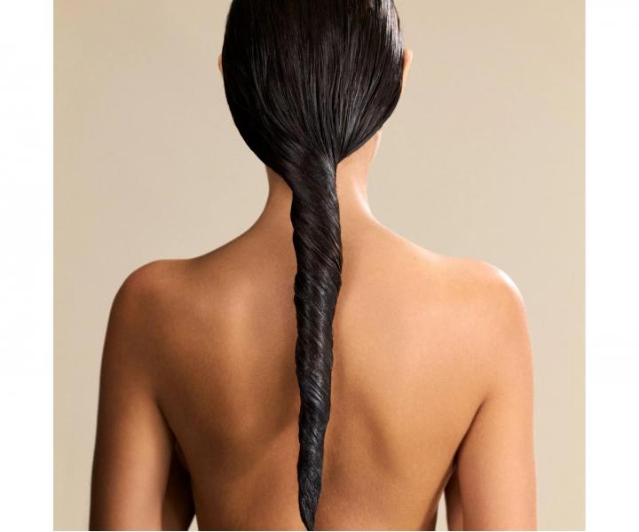 Rad pre oslniv� lesk v�etk�ch typov vlasov Neqi Diamond Glass