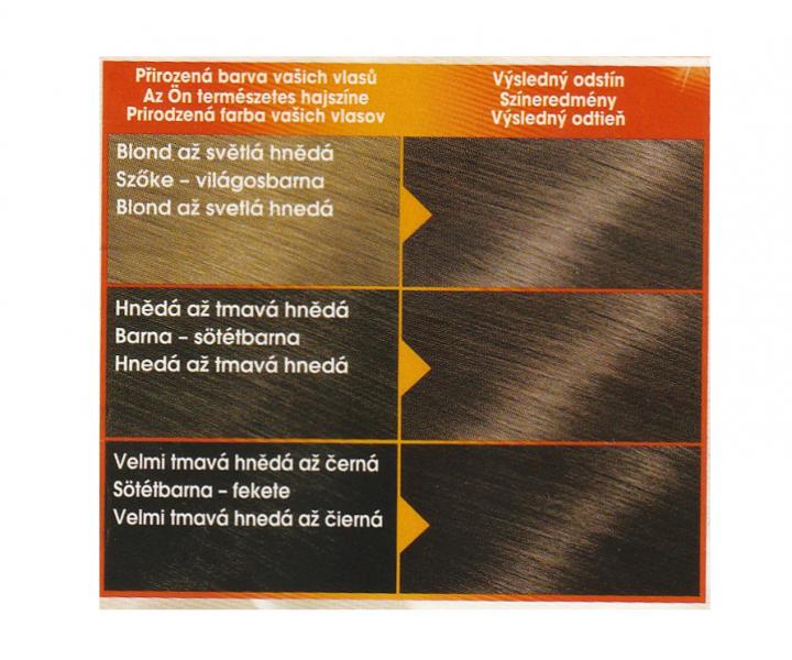 Permanentn� farba Garnier Color Naturals 6N prirodzen� tmav� blond