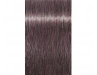 Farba na vlasy Schwarzkopf Professional Igora Royal 60 ml - 8-19 svetl blond popolav fialov