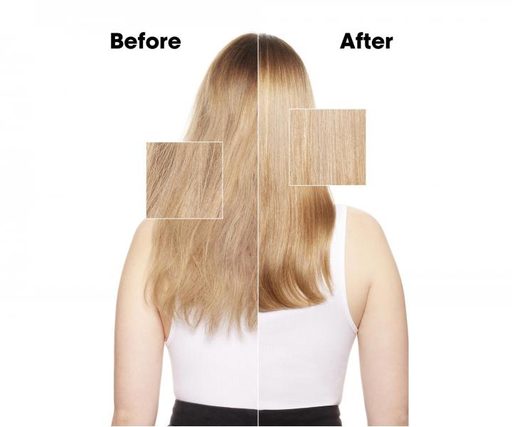 Rad pre such� a po�koden� vlasy L�Or�al Professionnel Serie Expert Absolut Repair