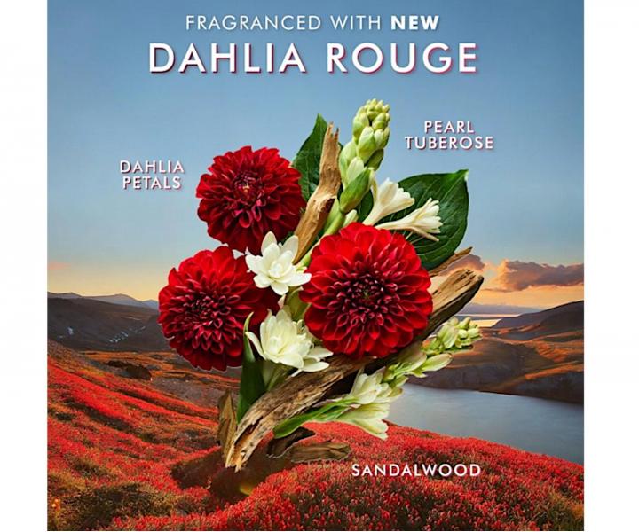 Darekov sada pre starostlivos o telo Moroccanoil Dahlia Rouge Body Care Set