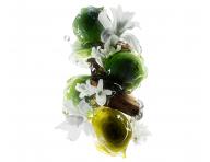 Rad pre farben a pokoden vlasy LOral Professionnel Serie Expert Metal Detox