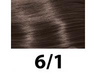 Farba na vlasy Subrina Professional Permanent Colour 100 ml - 6/1 tmav blond - popolav