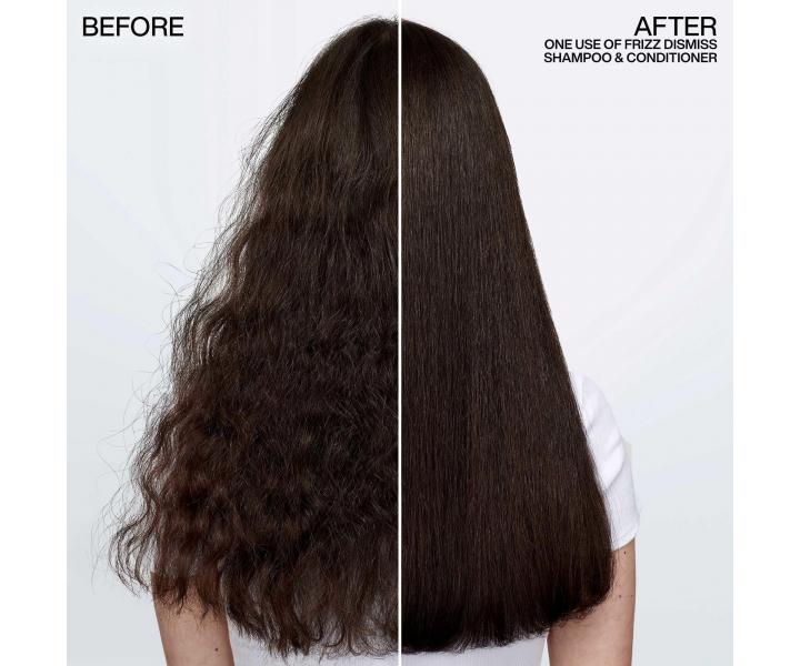 Rad pre krepat a nepoddajn vlasy Redken Frizz Dismiss