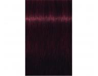 Farba na vlasy Schwarzkopf Professional Igora Royal 60 ml - 4-99 stredne hned extra fialov