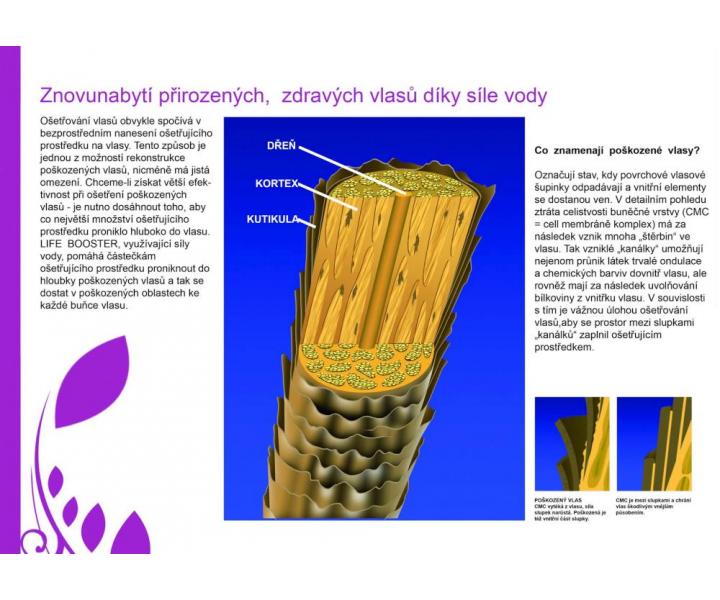 Multifunk�n� oz�nov� ioniza�n� sauna na vlasy Fox Life Booster