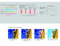 Multifunk�n� oz�nov� ioniza�n� sauna na vlasy Fox Life Booster