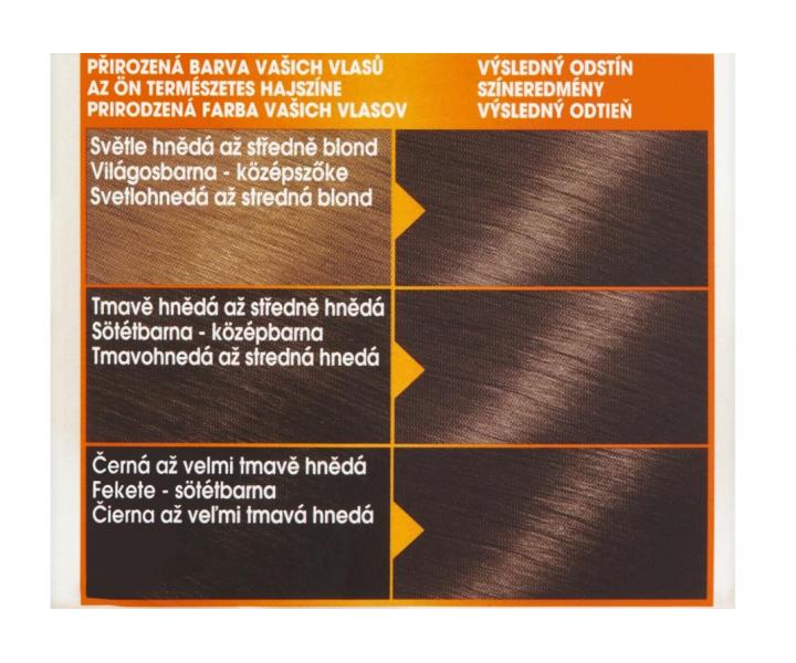 Permanentn� farba Garnier Color Naturals 6.00 tmav� blond